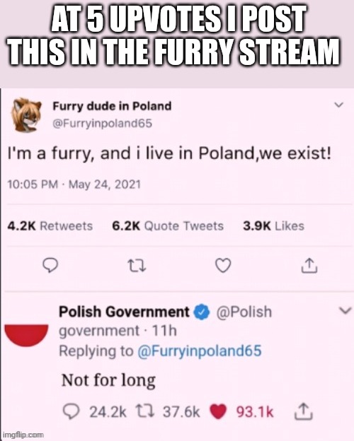 AT 5 UPVOTES I POST THIS IN THE FURRY STREAM | made w/ Imgflip meme maker