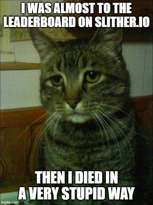 Depressed Cat |  I WAS ALMOST TO THE LEADERBOARD ON SLITHER.IO; THEN I DIED IN A VERY STUPID WAY | image tagged in memes,depressed cat | made w/ Imgflip meme maker