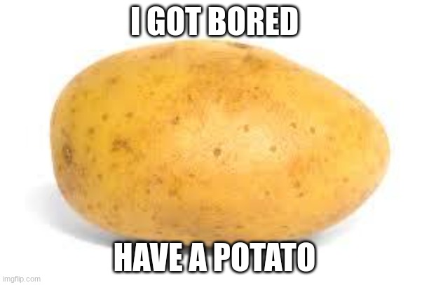 Potato | I GOT BORED; HAVE A POTATO | image tagged in potato | made w/ Imgflip meme maker