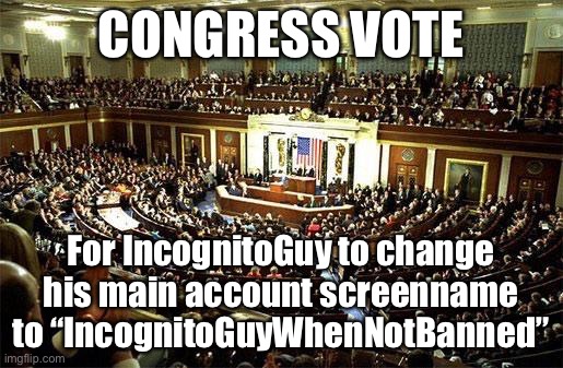 — A matter of urgent importance — | CONGRESS VOTE; For IncognitoGuy to change his main account screenname to “IncognitoGuyWhenNotBanned” | image tagged in congress,incognito,guy,when,not,banned | made w/ Imgflip meme maker