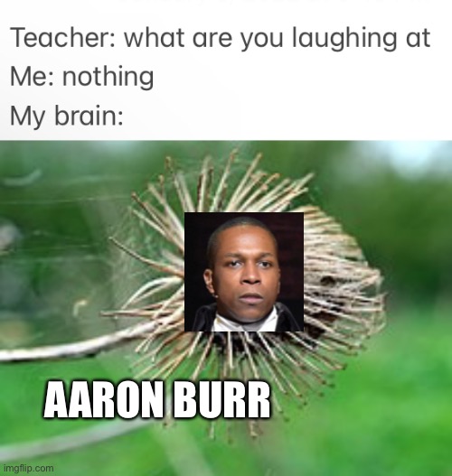  AARON BURR | image tagged in teacher what are you laughing at,memes,history memes,hamilton,funny,barney will eat all your delectable biscuits | made w/ Imgflip meme maker