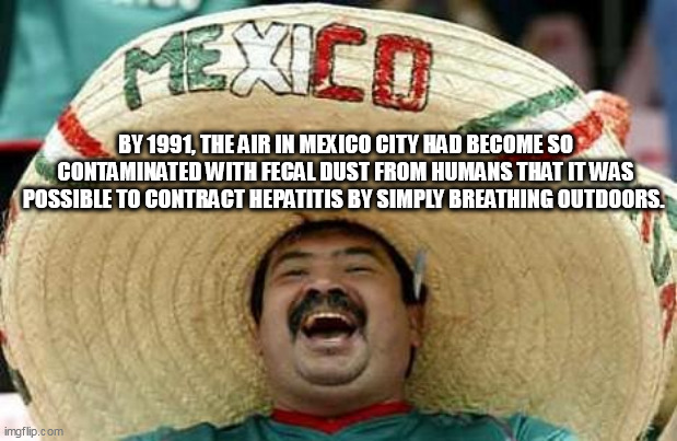 Mexico | BY 1991, THE AIR IN MEXICO CITY HAD BECOME SO CONTAMINATED WITH FECAL DUST FROM HUMANS THAT IT WAS POSSIBLE TO CONTRACT HEPATITIS BY SIMPLY BREATHING OUTDOORS. | image tagged in mexico | made w/ Imgflip meme maker