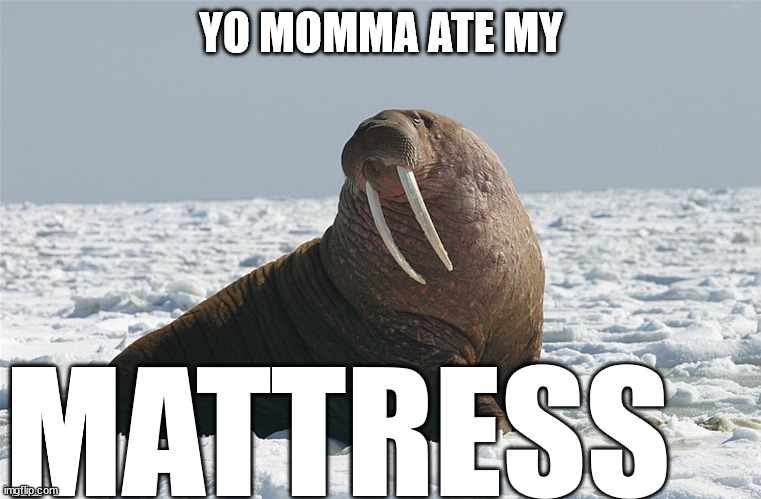 YO MOMMA ATE MY MATTRESS | made w/ Imgflip meme maker