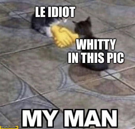Cats shaking hands | LE IDIOT WHITTY IN THIS PIC | image tagged in cats shaking hands | made w/ Imgflip meme maker