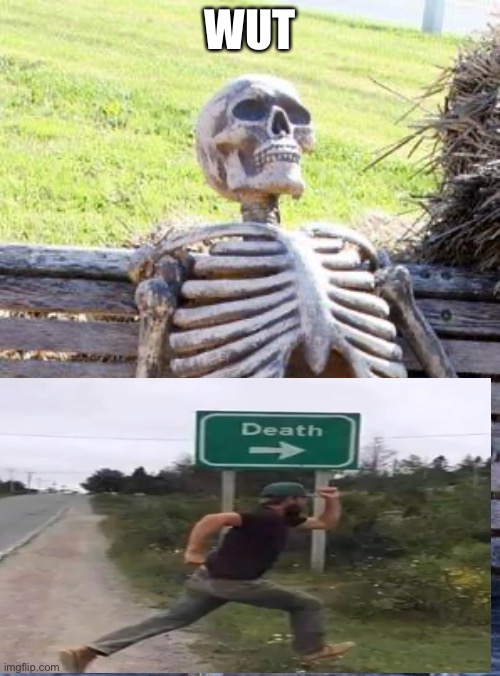 Waiting Skeleton Meme | WUT | image tagged in memes,waiting skeleton | made w/ Imgflip meme maker