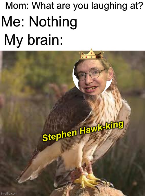Troll face | Mom: What are you laughing at? Me: Nothing; My brain:; Stephen Hawk-king | made w/ Imgflip meme maker