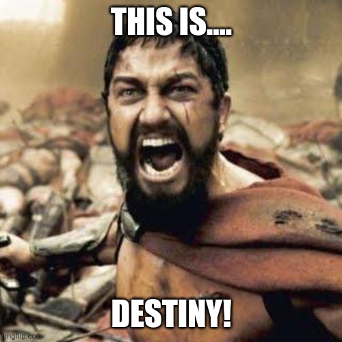 THIS IS SPARTA!!!! | THIS IS.... DESTINY! | image tagged in this is sparta | made w/ Imgflip meme maker