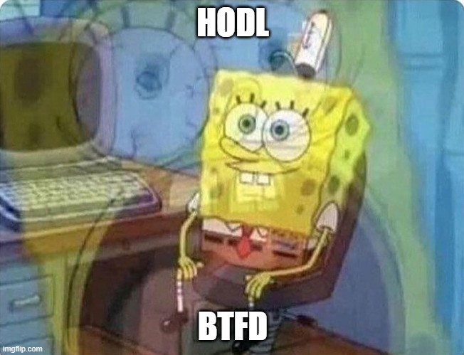 spongebob screaming inside | HODL; BTFD | image tagged in spongebob screaming inside | made w/ Imgflip meme maker