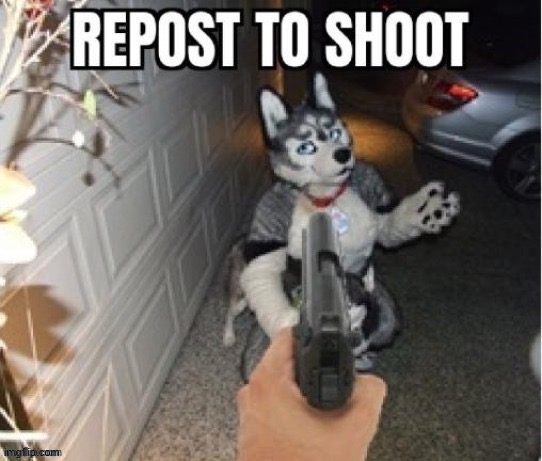 “Runs away after posting” | made w/ Imgflip meme maker