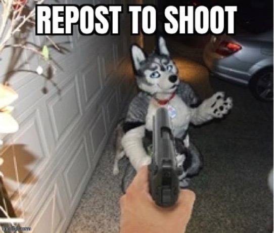 bang bang | made w/ Imgflip meme maker
