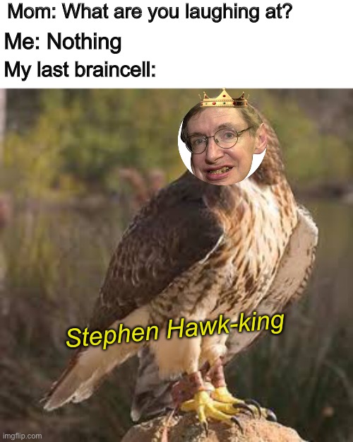 memes nowadays be like: | Mom: What are you laughing at? Me: Nothing; My last braincell:; Stephen Hawk-king | image tagged in stephen hawking,memes,gifs,not really a gif,stop reading the tags,never gonna give you up | made w/ Imgflip meme maker