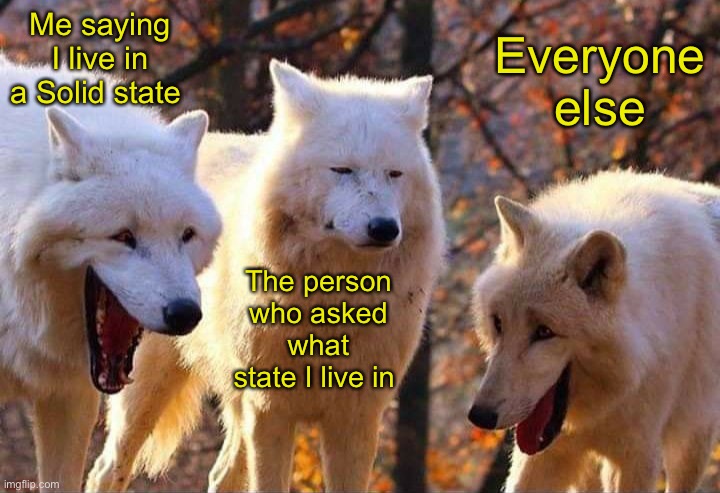 Genderfluids could never | Me saying I live in a Solid state; Everyone else; The person who asked what state I live in | image tagged in laughing wolf | made w/ Imgflip meme maker