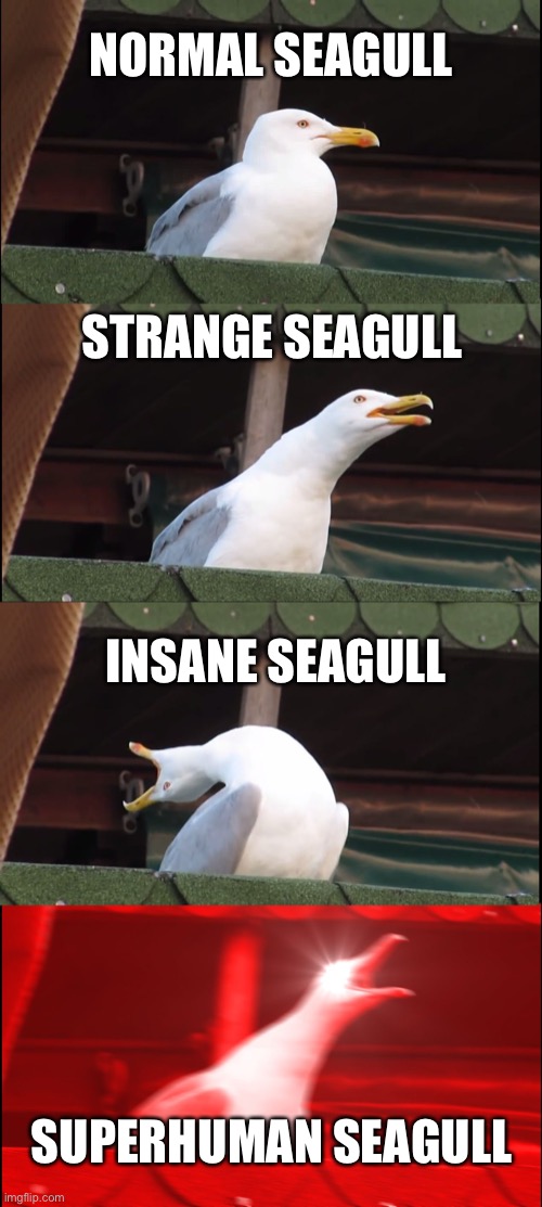 Seagull | NORMAL SEAGULL; STRANGE SEAGULL; INSANE SEAGULL; SUPERHUMAN SEAGULL | image tagged in memes,inhaling seagull | made w/ Imgflip meme maker