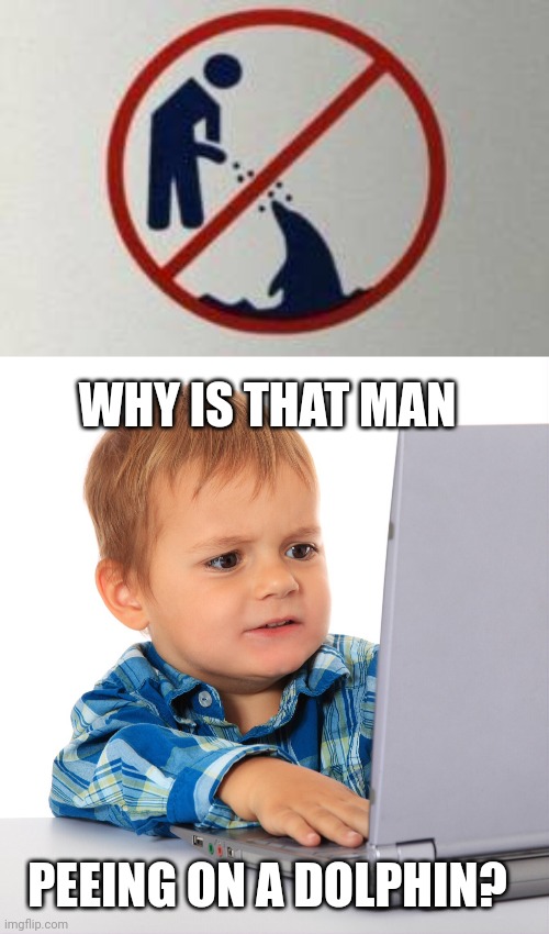SIGN FAIL | WHY IS THAT MAN; PEEING ON A DOLPHIN? | image tagged in confused kid on the net,stupid signs,fail,dolphins | made w/ Imgflip meme maker