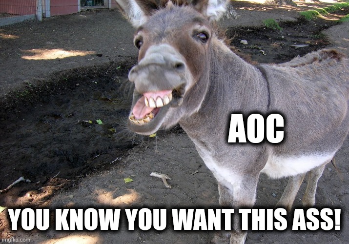 AOC YOU KNOW YOU WANT THIS ASS! | made w/ Imgflip meme maker