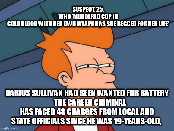 Futurama Fry | SUSPECT, 25, WHO 'MURDERED COP IN COLD BLOOD WITH HER OWN WEAPON AS SHE BEGGED FOR HER LIFE'; DARIUS SULLIVAN HAD BEEN WANTED FOR BATTERY
    THE CAREER CRIMINAL HAS FACED 43 CHARGES FROM LOCAL AND STATE OFFICIALS SINCE HE WAS 19-YEARS-OLD, | image tagged in memes,futurama fry | made w/ Imgflip meme maker