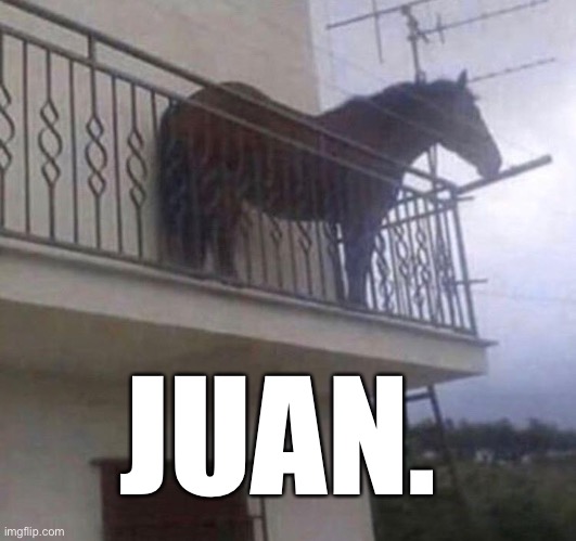 Juan | JUAN. | image tagged in juan | made w/ Imgflip meme maker