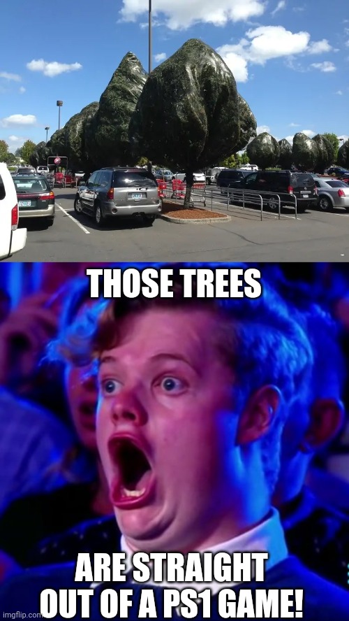 PLAYSTATION 1 GRAPHICS |  THOSE TREES; ARE STRAIGHT OUT OF A PS1 GAME! | image tagged in shocked man,playstation,ps1,video games | made w/ Imgflip meme maker