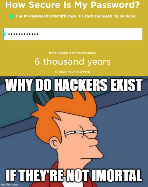my password beliek | WHY DO HACKERS EXIST; IF THEY'RE NOT IMORTAL | image tagged in memes,futurama fry | made w/ Imgflip meme maker