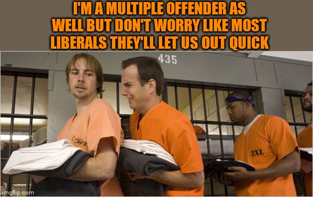 I'M A MULTIPLE OFFENDER AS WELL BUT DON'T WORRY LIKE MOST LIBERALS THEY'LL LET US OUT QUICK | made w/ Imgflip meme maker