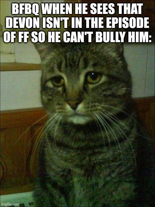 ff meme | BFBQ WHEN HE SEES THAT DEVON ISN'T IN THE EPISODE OF FF SO HE CAN'T BULLY HIM: | image tagged in memes,depressed cat | made w/ Imgflip meme maker