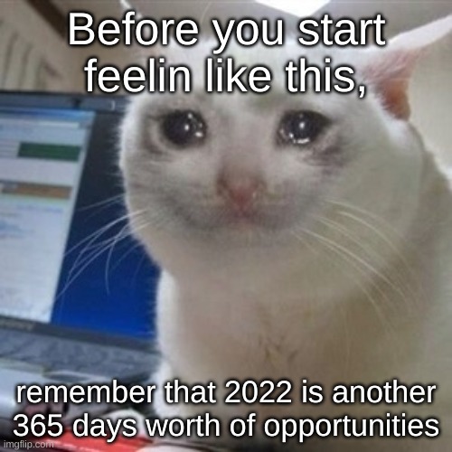 Keep this tucked right in your head, save it for when you need it | Before you start feelin like this, remember that 2022 is another 365 days worth of opportunities | image tagged in crying cat | made w/ Imgflip meme maker