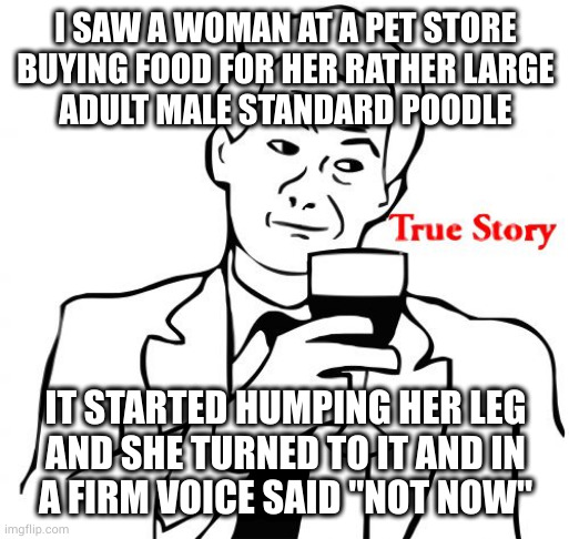Not. Now. | I SAW A WOMAN AT A PET STORE
BUYING FOOD FOR HER RATHER LARGE
ADULT MALE STANDARD POODLE; IT STARTED HUMPING HER LEG
AND SHE TURNED TO IT AND IN
A FIRM VOICE SAID "NOT NOW" | image tagged in memes,true story | made w/ Imgflip meme maker
