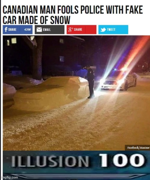 Illusion 100% | image tagged in illusion 100,luna_the_dragon,police,canadians,bruh | made w/ Imgflip meme maker
