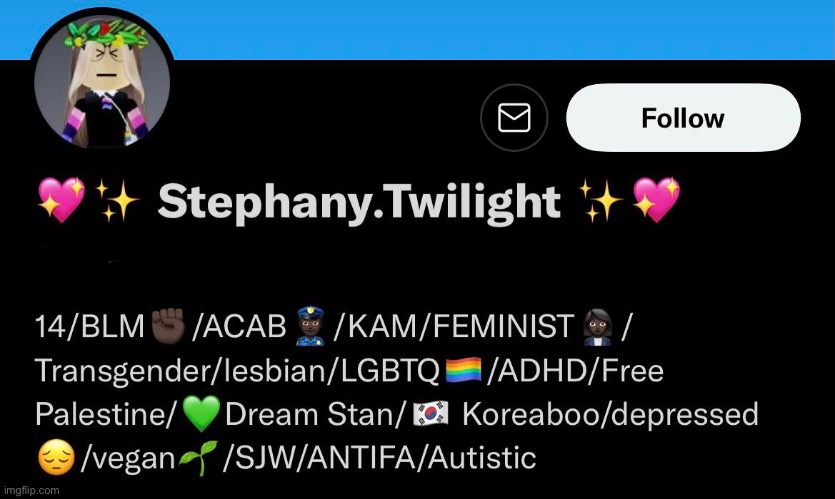 why do all of these twitter girls have extremely long and cringy bios | made w/ Imgflip meme maker