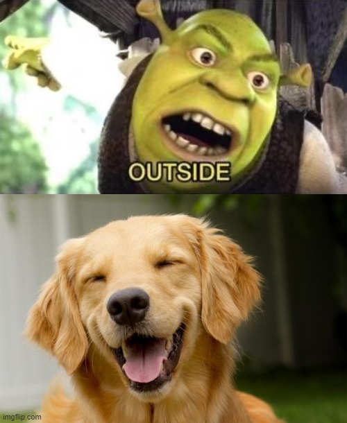 image tagged in outside,happy dog | made w/ Imgflip meme maker