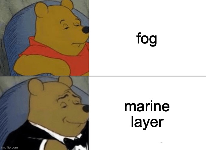 mist |  fog; marine layer | image tagged in memes,tuxedo winnie the pooh,jesus,feminism | made w/ Imgflip meme maker