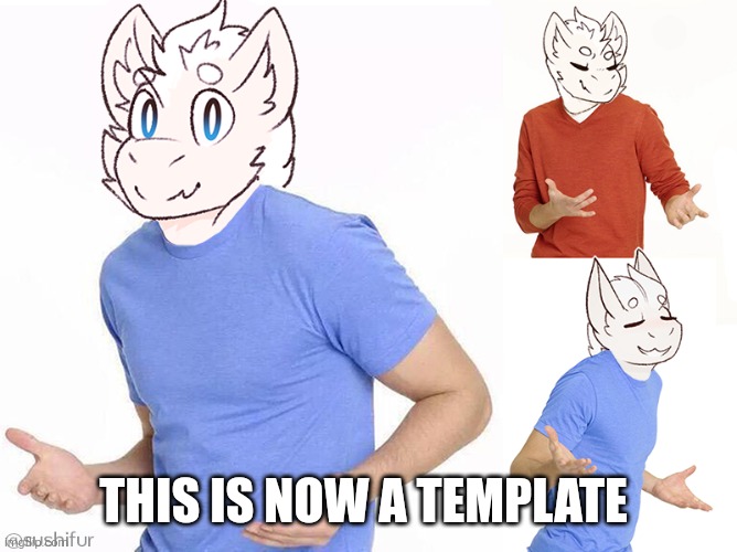 Fluffy dragon: IDK | THIS IS NOW A TEMPLATE | image tagged in fluffy dragon idk | made w/ Imgflip meme maker