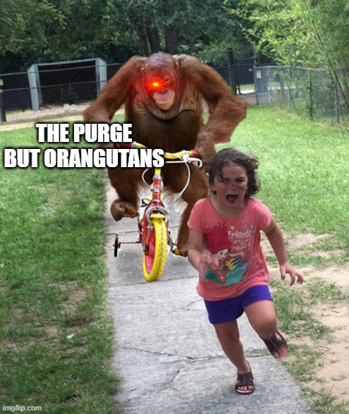 the purge | THE PURGE BUT ORANGUTANS | image tagged in orangutan chasing girl on a tricycle | made w/ Imgflip meme maker