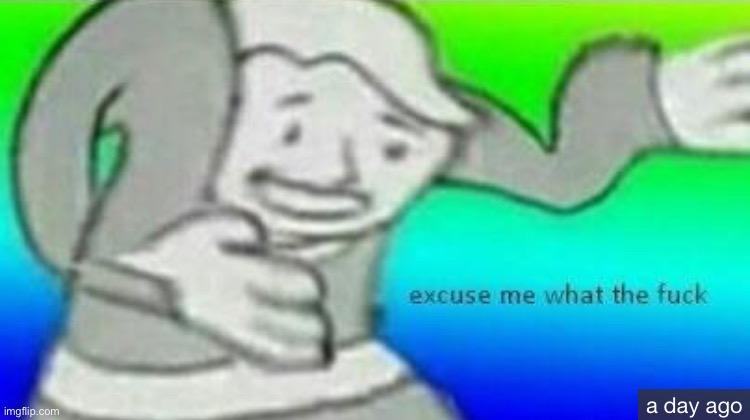 Excuse me what the fuck | image tagged in excuse me what the fuck | made w/ Imgflip meme maker