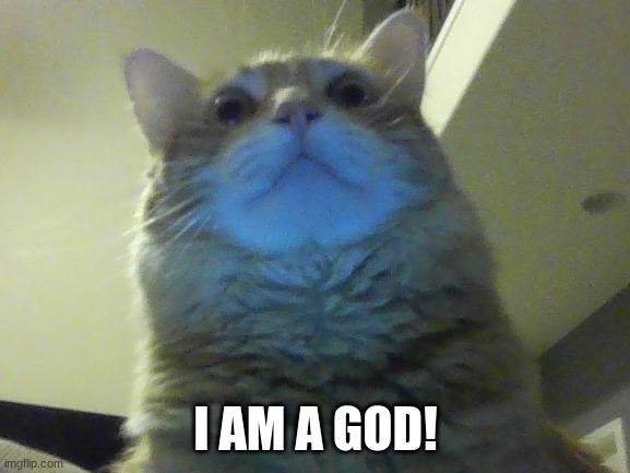 Godly cat | I AM A GOD! | image tagged in lolcats | made w/ Imgflip meme maker