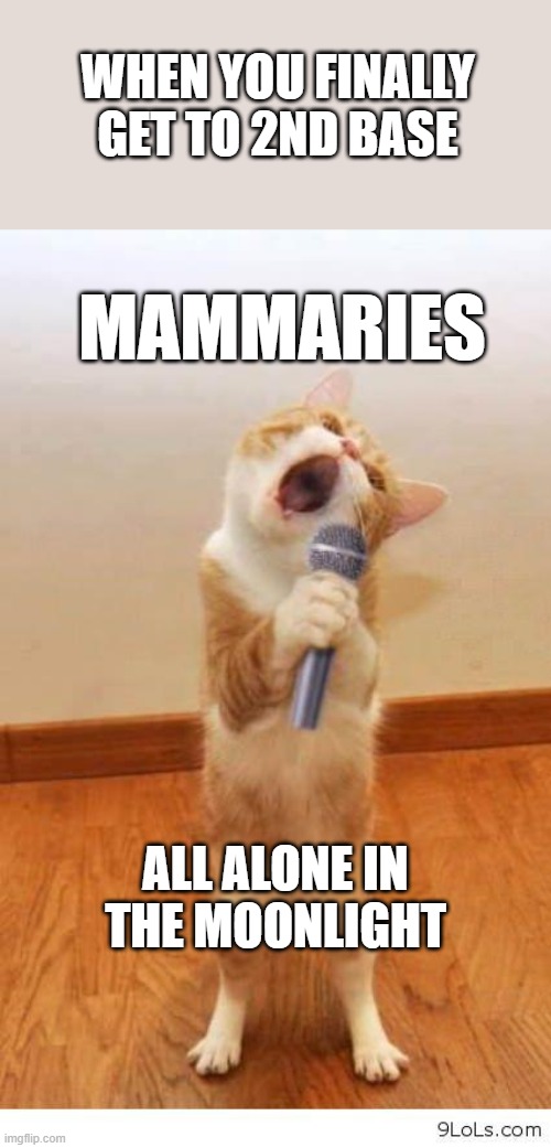 Cat Singer | WHEN YOU FINALLY GET TO 2ND BASE; MAMMARIES; ALL ALONE IN THE MOONLIGHT | image tagged in cat singer | made w/ Imgflip meme maker