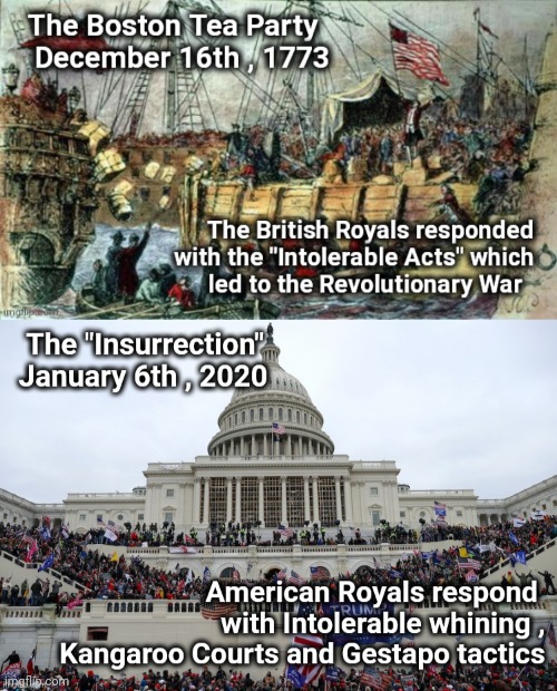 Taxation without representation | image tagged in politicians suck,royalty,well yes but actually no,lying,cheating,stealing | made w/ Imgflip meme maker