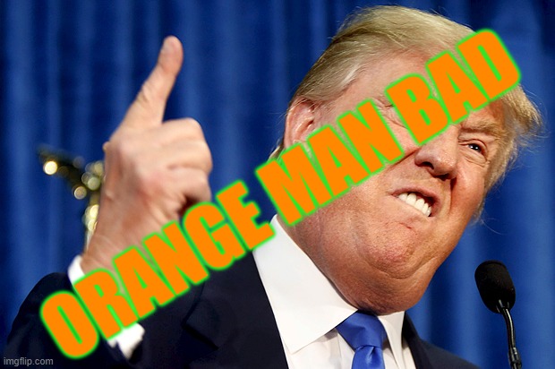 Donald Trump | ORANGE MAN BAD | image tagged in donald trump | made w/ Imgflip meme maker