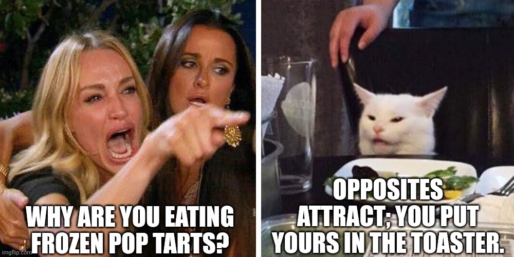 Pastry Preferences | WHY ARE YOU EATING FROZEN POP TARTS? OPPOSITES ATTRACT; YOU PUT YOURS IN THE TOASTER. | image tagged in smudge the cat | made w/ Imgflip meme maker