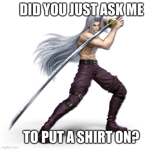 DID YOU JUST ASK ME TO PUT A SHIRT ON? | made w/ Imgflip meme maker