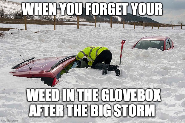 WHEN YOU FORGET YOUR; WEED IN THE GLOVEBOX AFTER THE BIG STORM | made w/ Imgflip meme maker