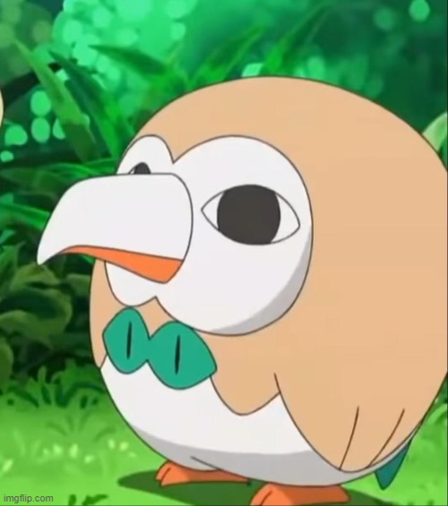 ... | image tagged in xatu rowlet | made w/ Imgflip meme maker