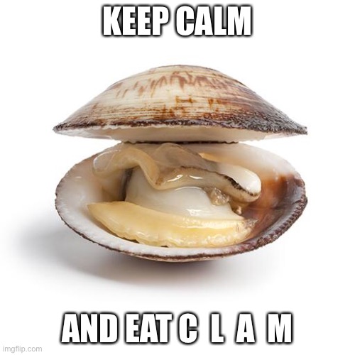 clam | KEEP CALM; AND EAT C  L  A  M | image tagged in clam | made w/ Imgflip meme maker