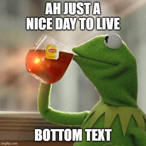 But That's None Of My Business Meme | AH JUST A NICE DAY TO LIVE; BOTTOM TEXT | image tagged in memes,but that's none of my business,kermit the frog | made w/ Imgflip meme maker