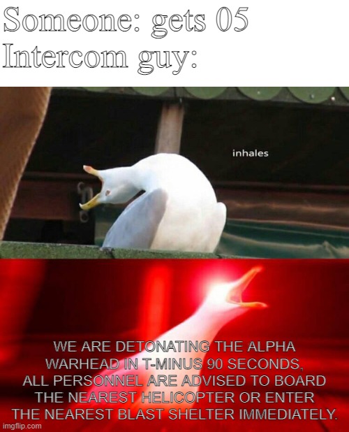 Scp sl be like | Someone: gets 05
Intercom guy:; WE ARE DETONATING THE ALPHA WARHEAD IN T-MINUS 90 SECONDS, ALL PERSONNEL ARE ADVISED TO BOARD THE NEAREST HELICOPTER OR ENTER THE NEAREST BLAST SHELTER IMMEDIATELY. | image tagged in inhaling seagull,scp meme | made w/ Imgflip meme maker