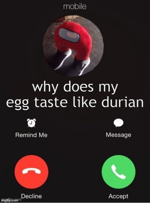 Balls Industry Blank - Created by Capto. | why does my egg taste like durian | image tagged in balls industry blank by ace | made w/ Imgflip meme maker