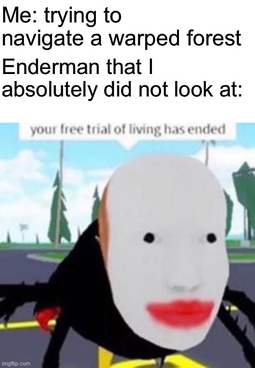 Your free trial of living has exeded | Me: trying to navigate a warped forest; Enderman that I absolutely did not look at: | image tagged in your free trial of living has exeded,minecraft,minecraft memes,memes,enderman | made w/ Imgflip meme maker
