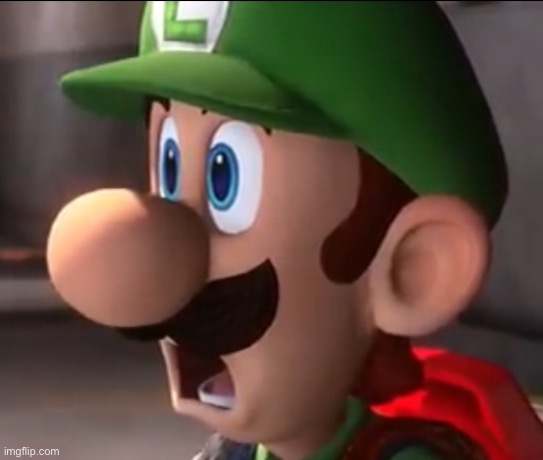 Shocked Luigi | image tagged in shocked luigi,custom template,luigi | made w/ Imgflip meme maker