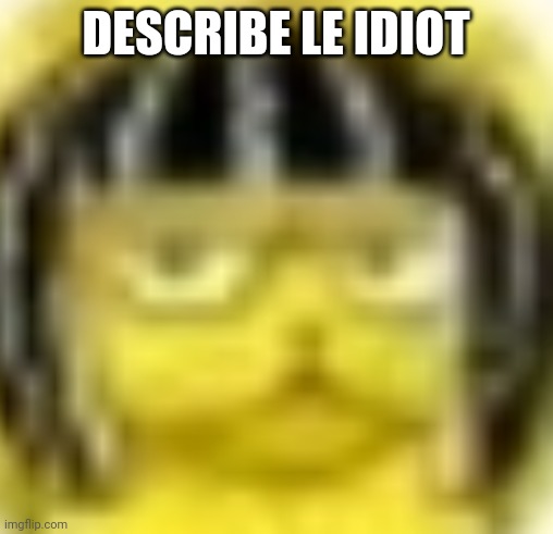 Funny Joke | DESCRIBE LE IDIOT | image tagged in man really said b | made w/ Imgflip meme maker
