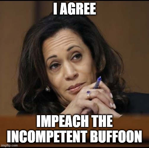 Kamala Harris  | I AGREE IMPEACH THE INCOMPETENT BUFFOON | image tagged in kamala harris | made w/ Imgflip meme maker